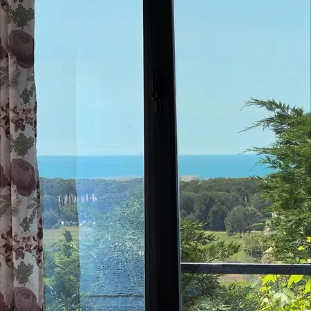 Bellavista *
