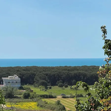 Bellavista Nyaraló *